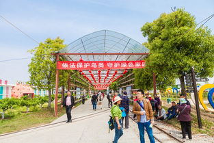 春游諸暨,青山綠水生態之旅