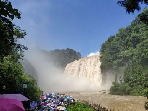 游客注意 即日起,黃果樹景區開閉園時間有調整