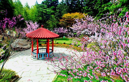 廬山室外景點恢復(fù)開放 南 北門或交通索道可進(jìn)山 還有這些注意事項