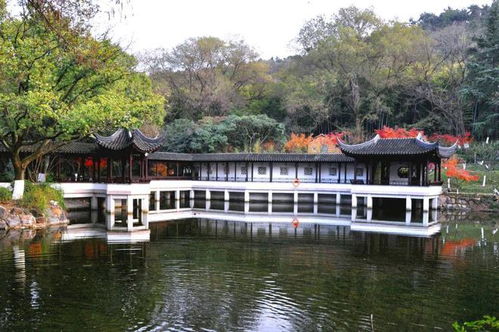 蘇州亭林園免費啦 附預(yù)約攻略