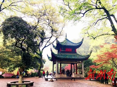 8月25日起,岳麓山景區(qū)東門路段整修觀光路線調(diào)整