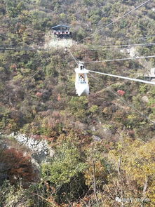 網紅招募令 平頂山交通廣播邀您免費游覽河南天龍池景區