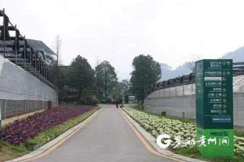 貴州多個(gè)景區(qū)陸續(xù)開(kāi)園，游覽時(shí)園區(qū)管理服務(wù)與注意事項(xiàng)詳解