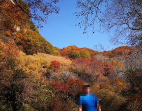 2019平山駝梁風(fēng)景區(qū)游玩全攻略 門票價格、游覽路線、地址與服務(wù)詳解