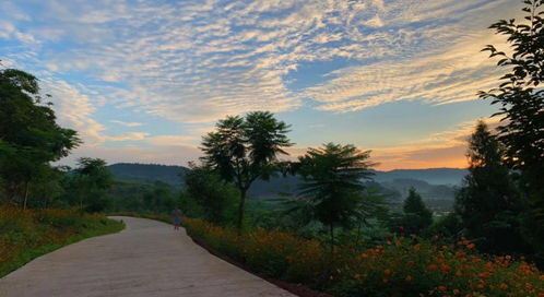 從桃花源到悠然島 園區管理服務的詩意進化